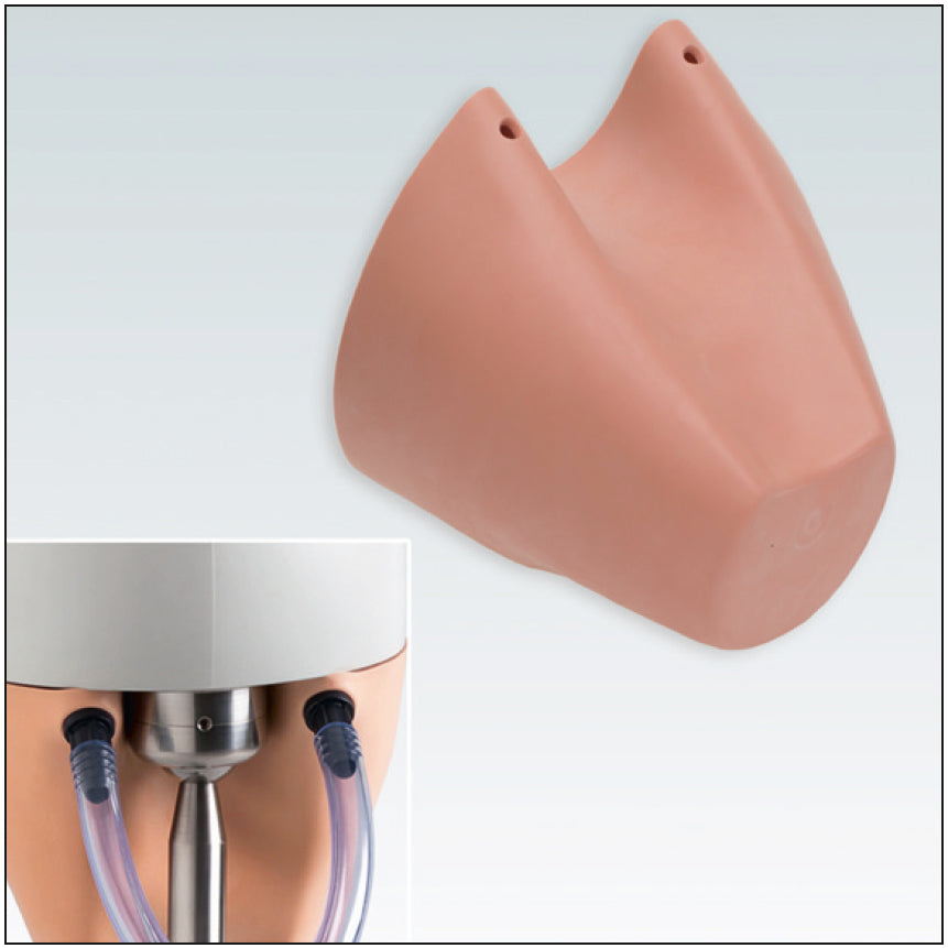 P6GMN2L FACIAL MASK for phantom with 2 holes