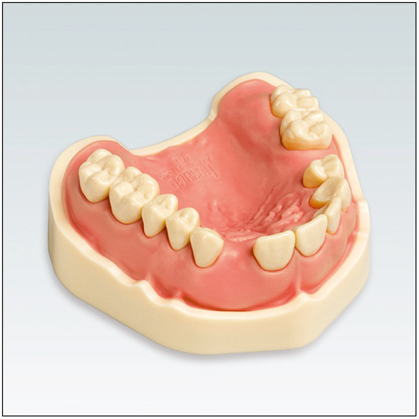 ANA4TOKV102 maxilar c/dentado parcial 54321-1234 7