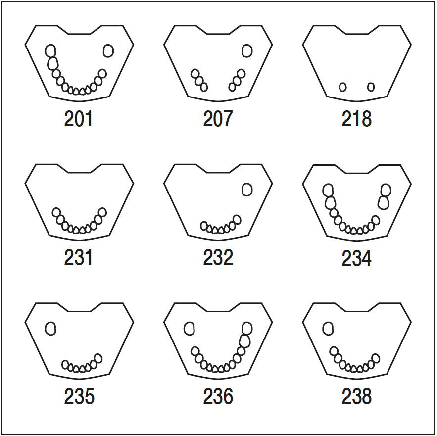 ANA4TUKV232 mandibula c/dentado parcial 321-1234 7