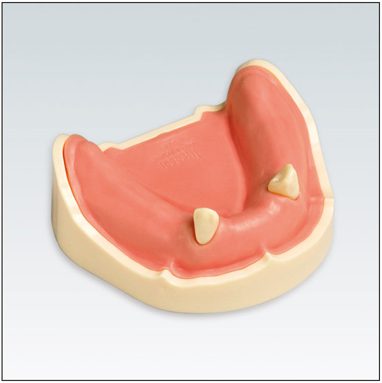 ANA4TUKV207 mandibula c/dentado parcial 543-345 7
