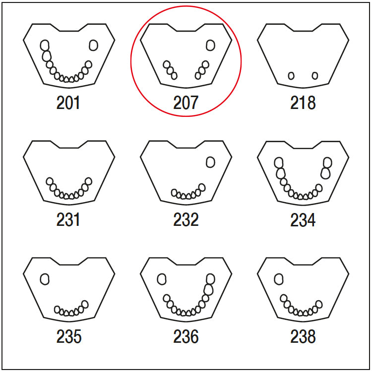 ANA4TUKV207 mandibula c/dentado parcial 543-345 7