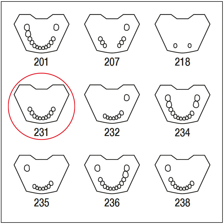 ANA4TUKV231 mandibula c/dentado parcial 54321-12345