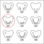 ANA4TUKV231 mandibula c/dentado parcial 54321-12345
