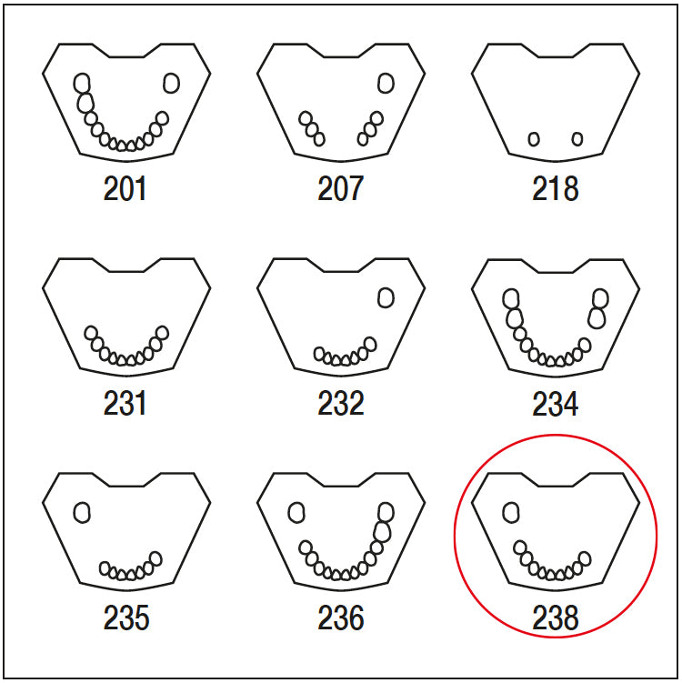 ANA4TUKV238 mandibula c/dentado parcial 7 54321-1234