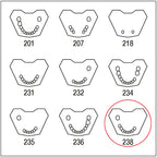 ANA4TUKV238 mandibula c/dentat parcial 7 54321-1234