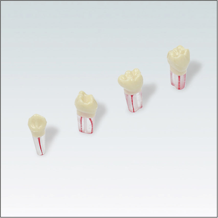 AK62ZPUF Nº53 10 ud