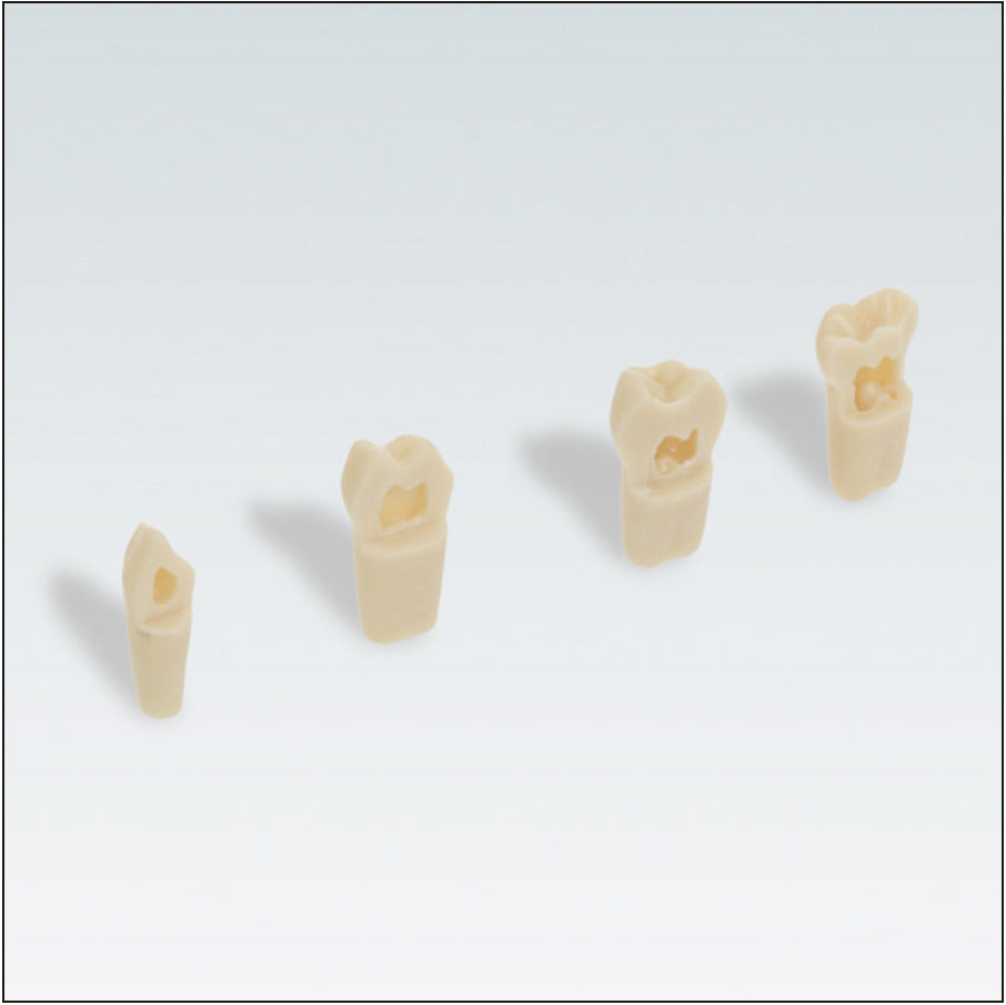 AK62ZPUL Nº 55 diente caduco camara pulpar hueca 10 ud