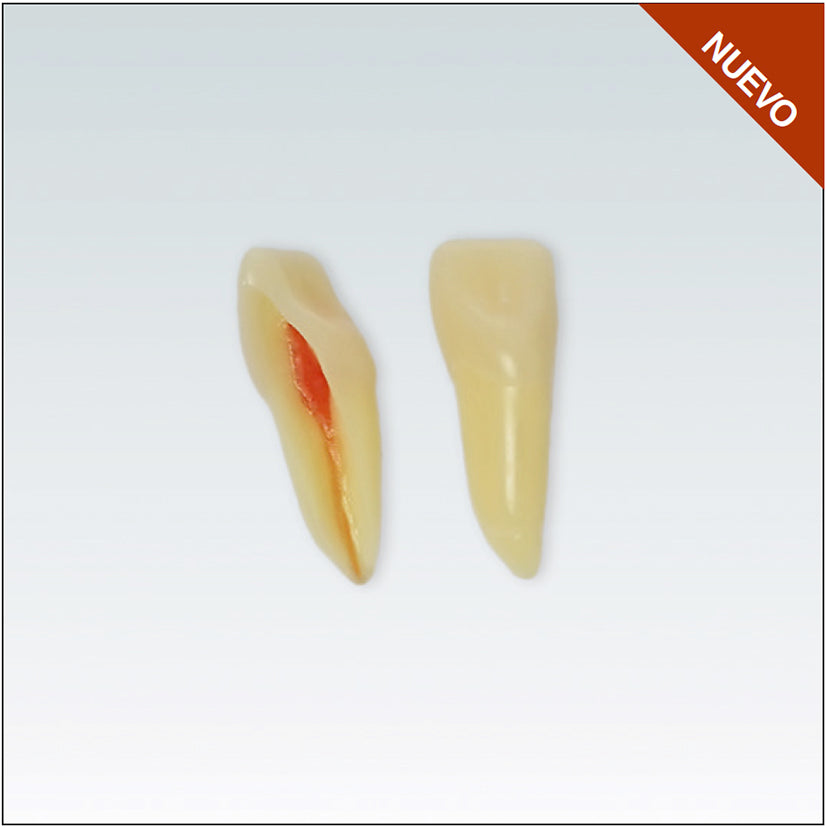 ANA4Z3RN11 Nº11 endo c/arrel natural apte RX 3 capes 100ud
