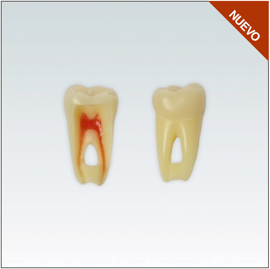 ANA4Z3RN46 Nº46 endo c/arrel natural apte RX 3 capes 100ud