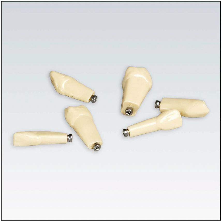 ANA4ZE0100 nº 22 dientes 100 ud