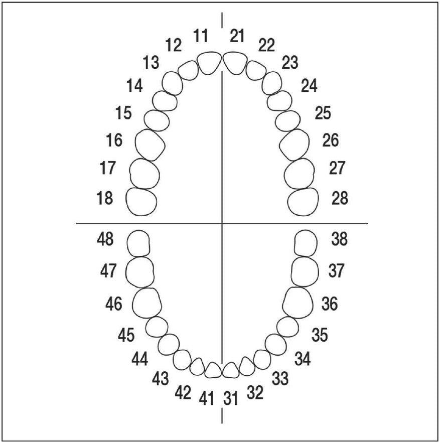 AEZME No. 16 single metal tooth CrNi