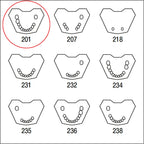 ANA4TUKV201 mandibula c/dentat parcial