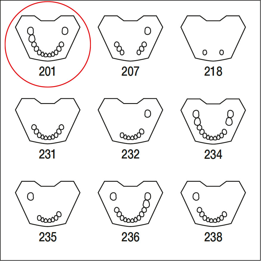 ANA4TUKV201 mandibula c/dentat parcial