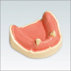 ANA4TUKV234 mandibula c/dentado parcial