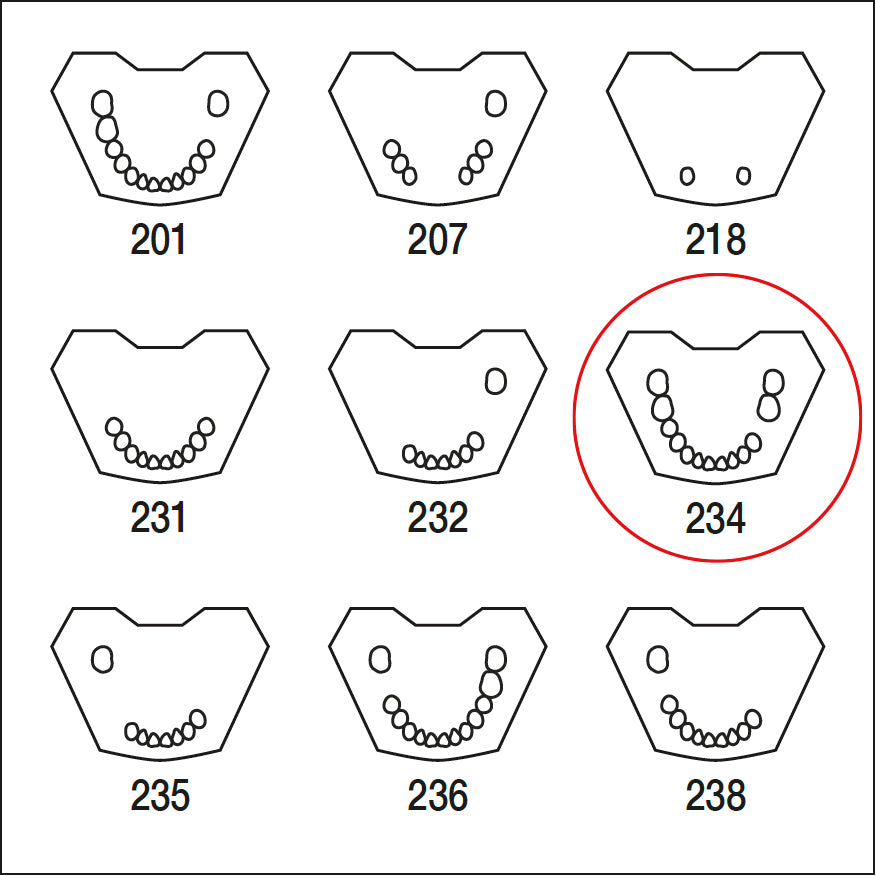 ANA4TUKV234 mandibula c/dentat parcial