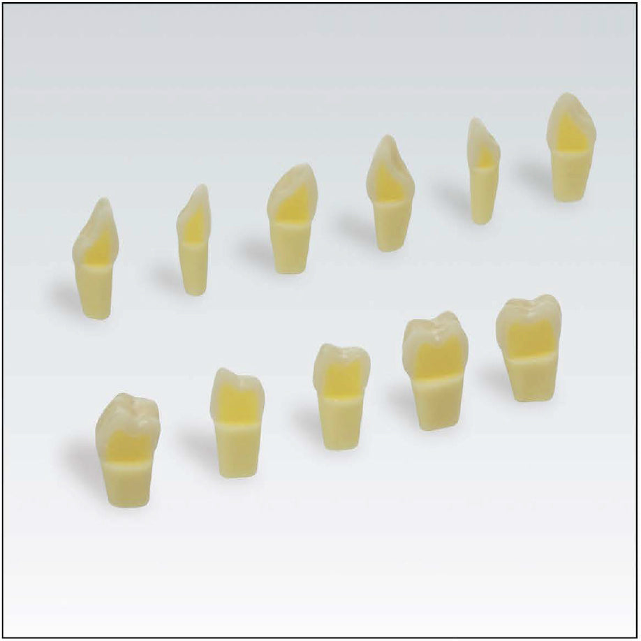 ANA4ZSD15300 No. 15 tooth