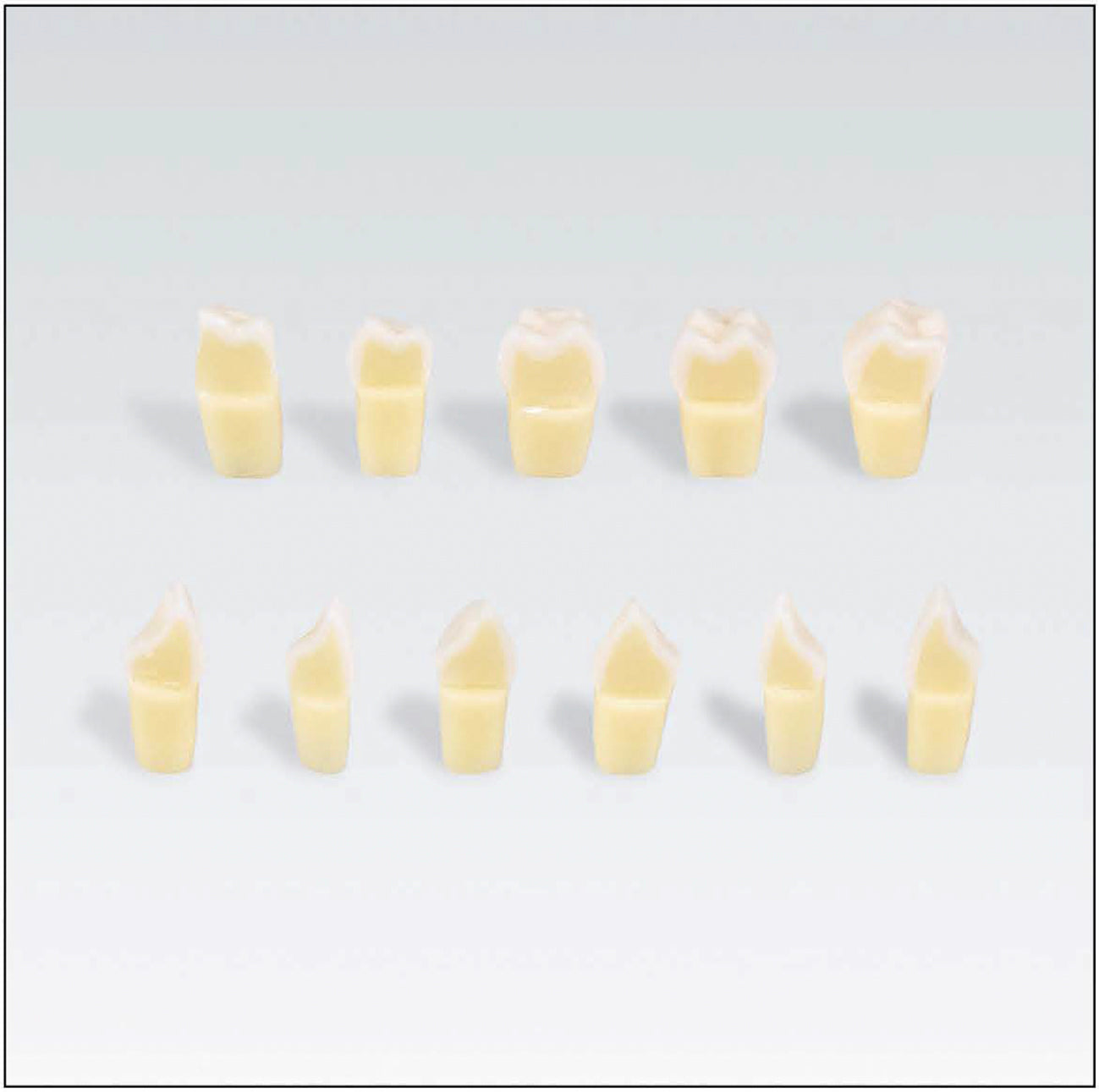 AG3ZSD35300 No. 35 tooth