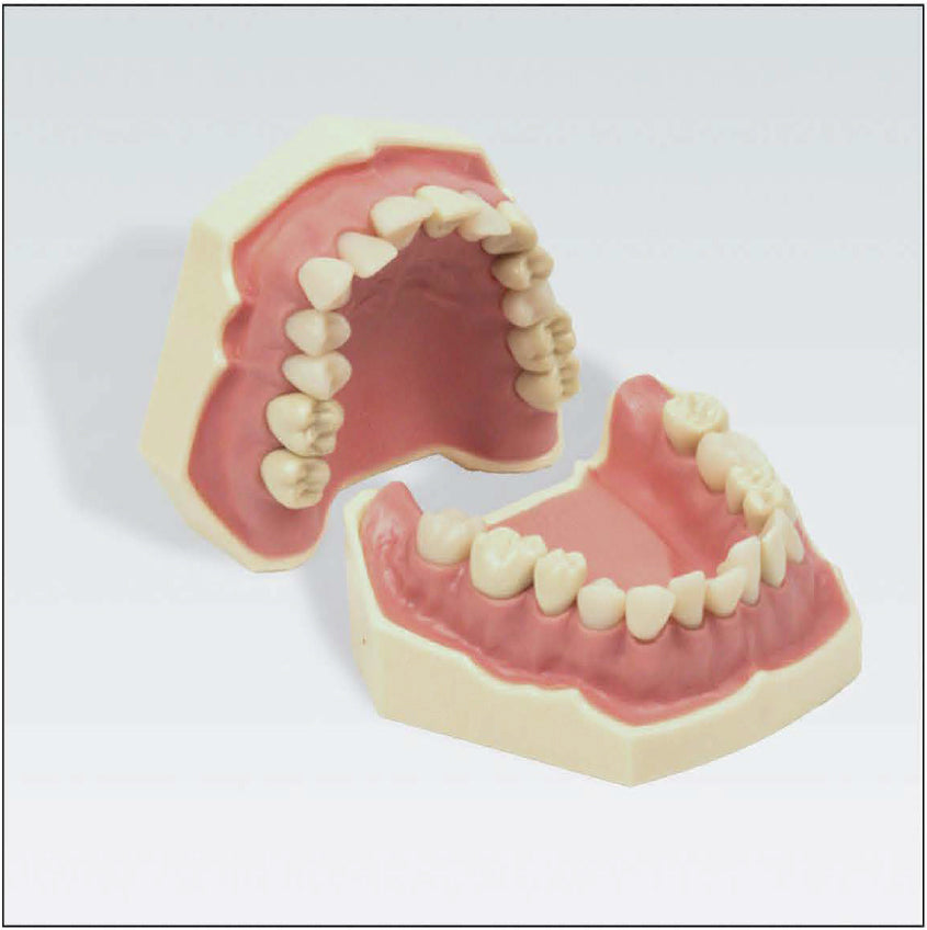 AG3 28 FS modelo c/apiñamiento