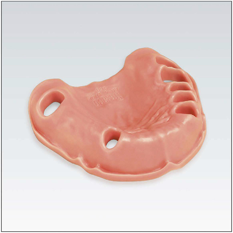 AN4 TWOKV 102 encia simp p/maxilar dent parc.54321-1234 7