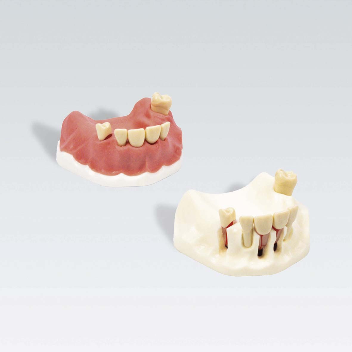 ANA-4 OP OK MODELO p/cirugia endodontica c/granuloma