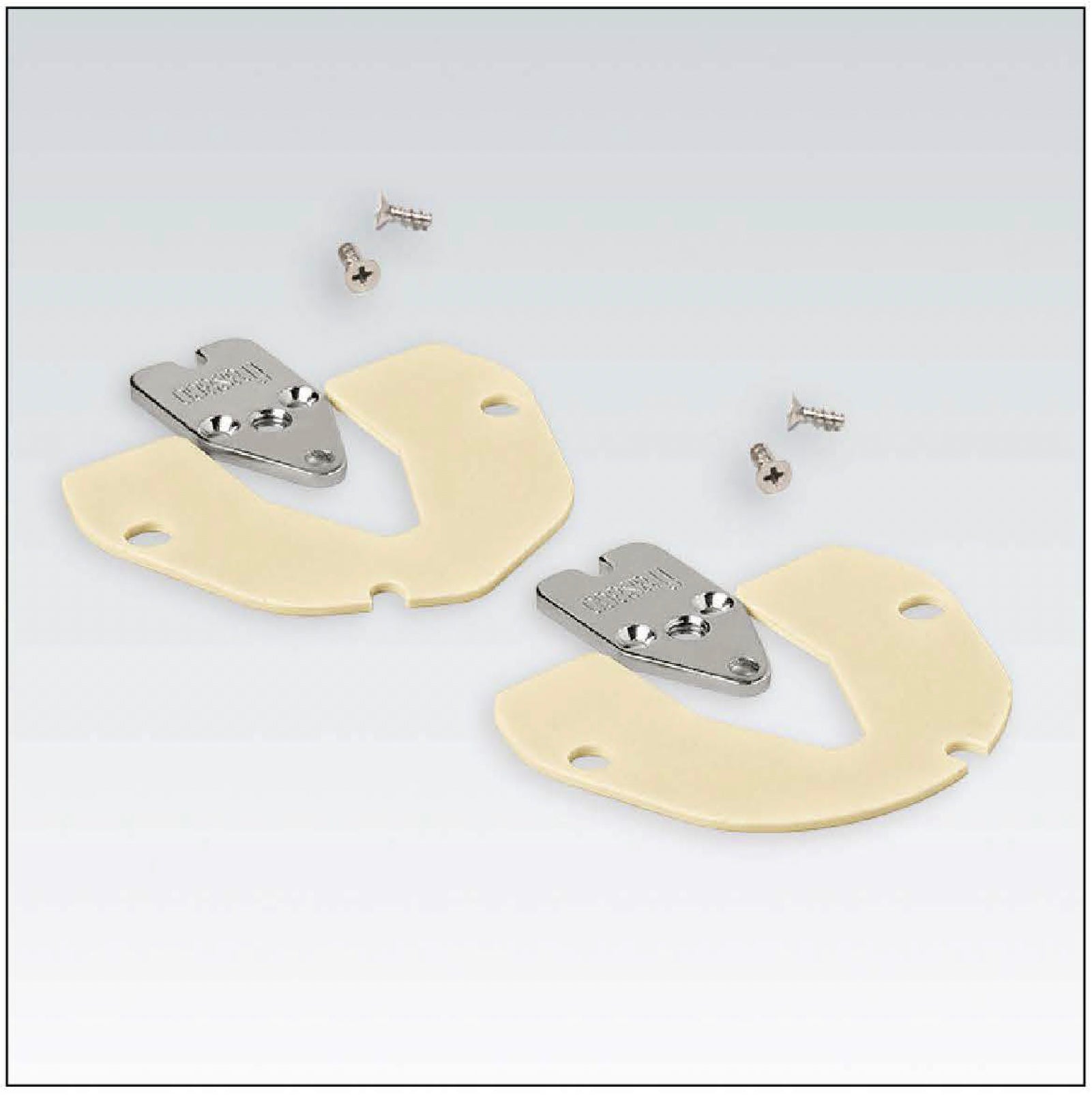 AN-4RM SET PLACA DORSAL metalica c/tornillo
