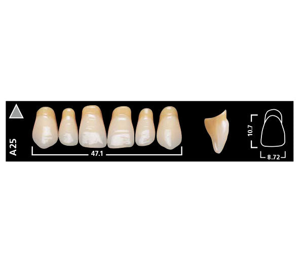 SR VIVODENT ant sup A25 240