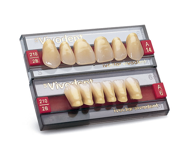 SR VIVODENT ant inf A2 510
