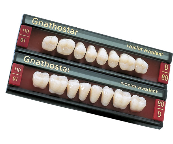 GNATHOSTAR A-D post inf D80 A3