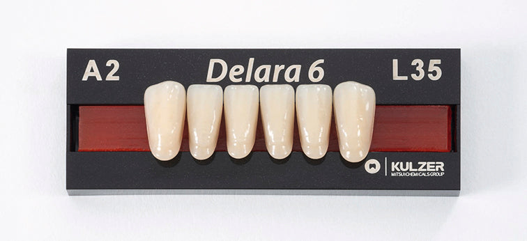 DELARA ant inf L35 C3